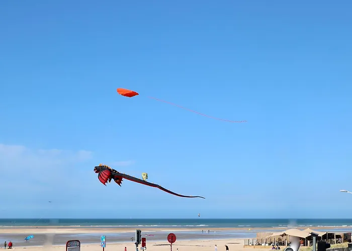 Nid Douillet A 30 Metres De La Grande De - La Vague - * Houlgate